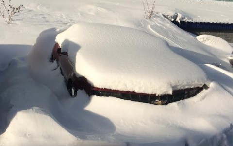 В Кирове горожане заметили "подснежник" Chevrolet Camaro