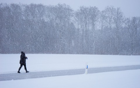 МЧС предупреждает кировчан о сильном ветре и метели