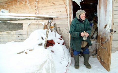 Кировская бабушка, живущая в сарае с козами, согласилась показаться врачу