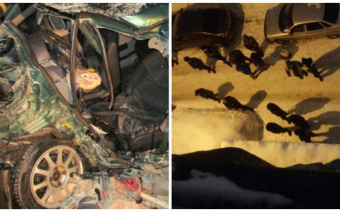 Что обсуждают в Кирове: смертельное ДТП и нападение на прохожего