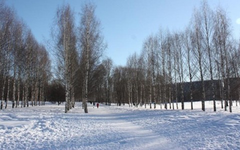 На благоустройство Кочуровского парка  потратят 60 миллионов рублей