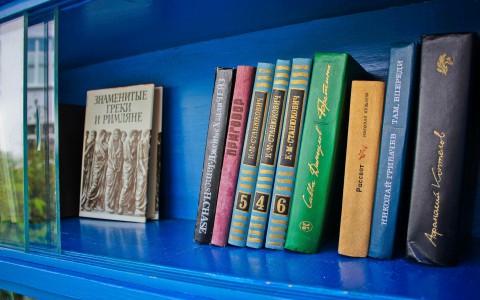 Названы самые популярные книги среди кировчан