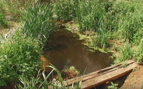 В Кирове осудили руководителя предприятия, слившего 6 тонн химотходов в канаву