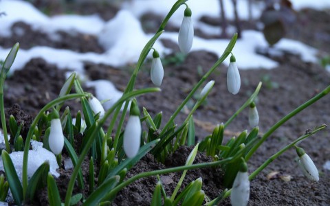 Прогноз погоды: какими будут выходные в Кирове?