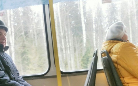 Миллионы пользователей посмеялись над кировским фото в Pikabu