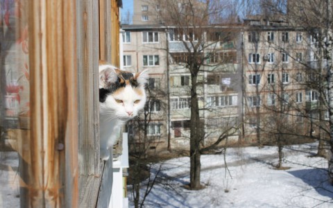 Прогноз погоды: какой будет рабочая неделя в Кирове?