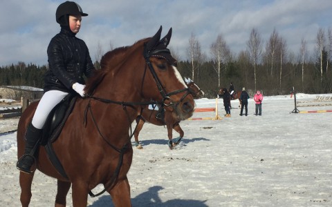 Фоторепортаж: в Кирове спустя 5 лет восстановили ипподром