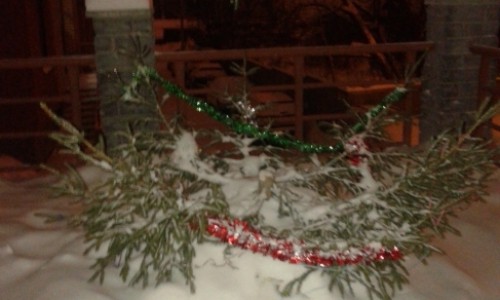 В Кирове в одном из дворов украли елку