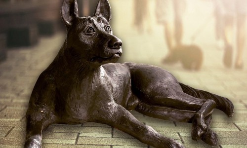 В Кирове собрали деньги на памятник-копилку бездомным животным