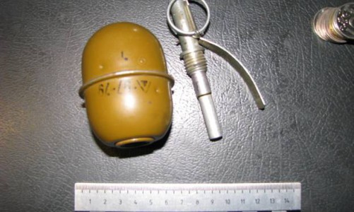 В Кировской области найденная в автомобиле граната оказалась муляжом