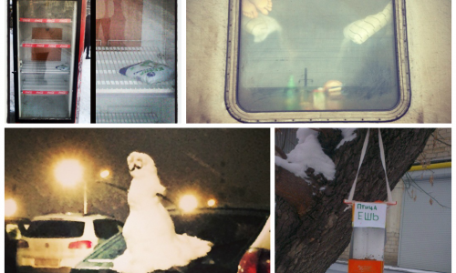 Подсмотрено в соцсетях: голые пятки и необычные кормушки