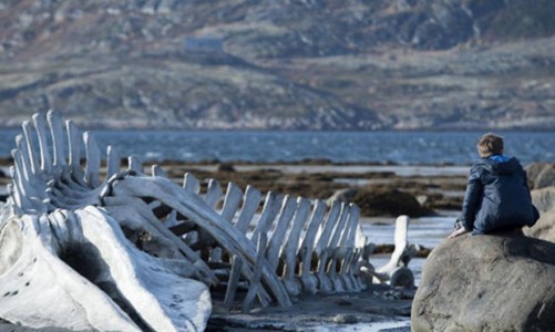 В кировских кинотеатрах не будут показывать «Левиафан» Андрея Звягинцева, номинированный на «Оскар»