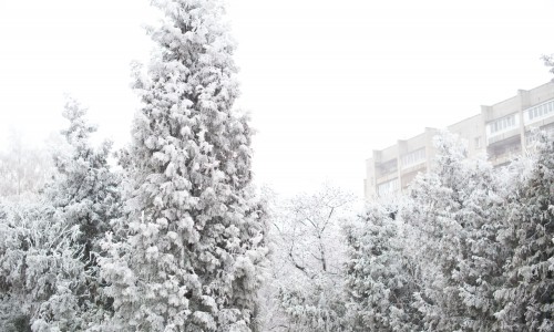 Погода в Кирове: горожан ждут холода до -28 градусов