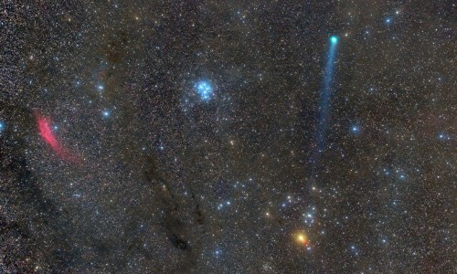 Сегодня кировчане смогут увидеть комету Лавджоя