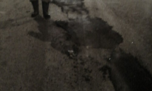 В Кирове на Московской дорожники в мороз укладывали асфальт