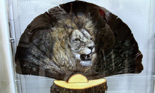 Фоторепортаж: в Кирове открылась выставка картин из птиц