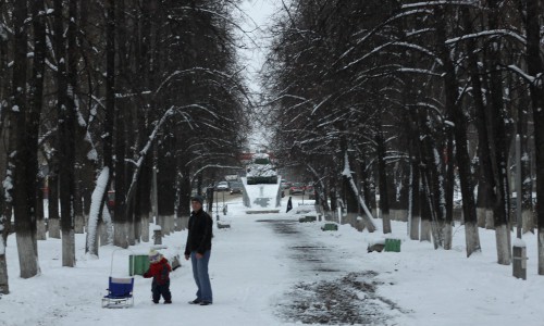 В кировских парках и скверах запретили строить кафе