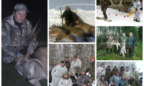 За 2014 год кировские охотники убили 194 волка