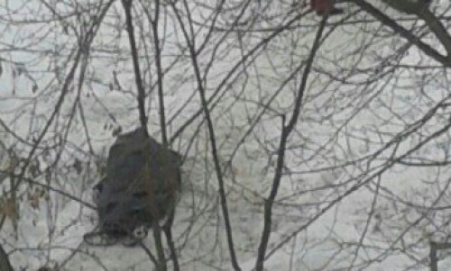 В Кирове у стадиона "Прогресс" прохожие нашли на улице труп