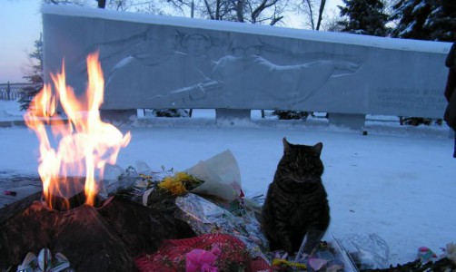 Карта: к Юбилею Победы в Кирове отремонтируют памятники и мемориалы