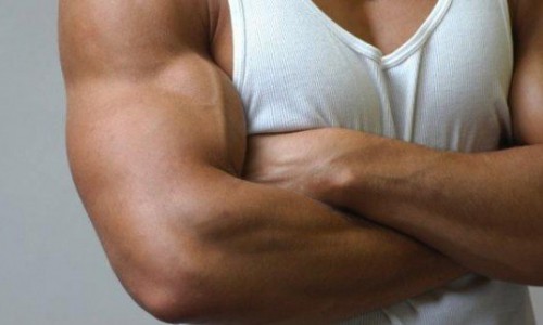 В Кирове мастеру спорта России по пауэрлифтингу дали срок за распространение стероидов