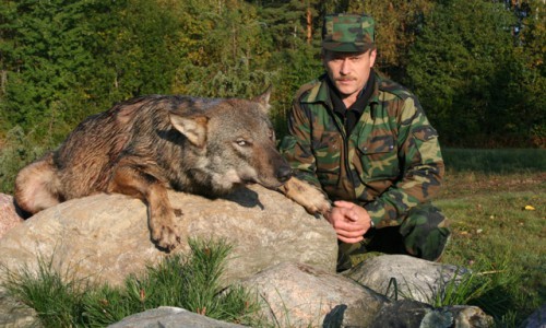 Почему охотничьи хозяйства едва сводят концы с концами?