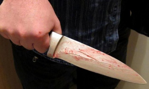 В Кировской области мать зарезала сына