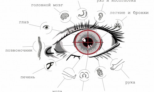 Узнайте о своем здоровье по радужке глаза