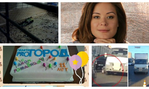 Что обсуждают в Кирове этим утром: происшествие в зоомагазине и новое заявление Марии Гайдар