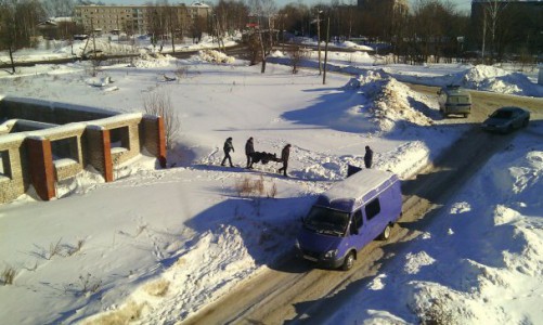 В Кировской области в подвале недостроя нашли труп: стала известна причина смерти мужчины