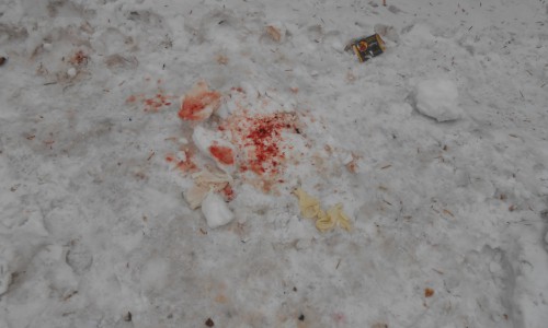 В Кирове нашли труп младенца: медикам пришлось откапывать тело новорожденного из снега