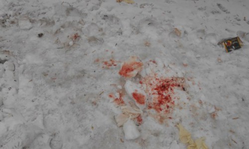 В Кирове у мусорных баков нашли тело младенца: малыш умер от переохлаждения