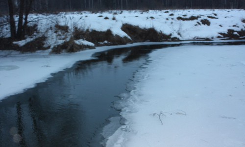 Погода в Кирове: в выходные будет по-весеннему тепло