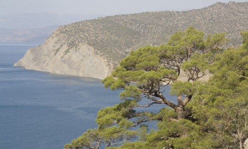 В 2015 году кировских судей отправят в санатории и на курорты за 3 250 000 рублей