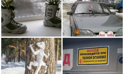 #Киров в соцсетях: динозавры в парках и розы на капоте