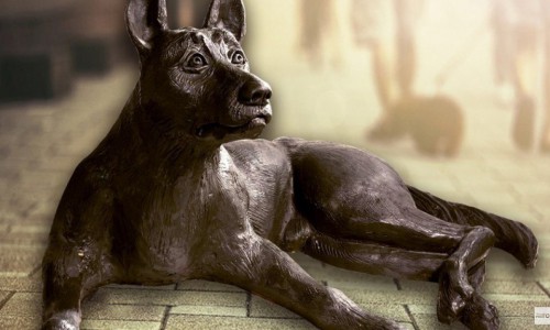 В Кирове одобрили точное месторасположение памятника-копилки для бездомных животных