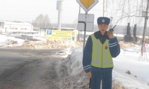На дорогах Кировской области установили деревянных полицейских