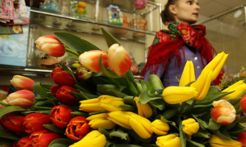 Где в Кирове можно купить тюльпаны и розы дешевле всего?