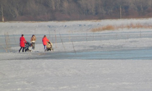 В Кировской области мамочки гуляли с колясками по тонкому льду реки