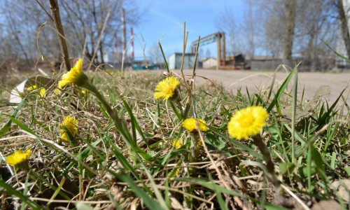 Кировские метеорологи рассказали, какой будет весна