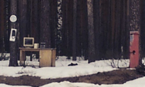 Это что? Кировчан пугает заброшенный в лесу компьютер