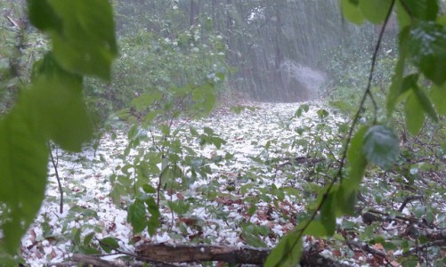 Летом кировчан ждет град и ливни: главный синоптик области рассказал о погоде на несколько месяцев вперед