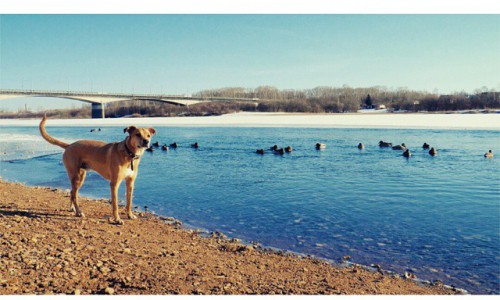 Утро понедельника в Кирове: подборка фотографий о том, как горожане начинают свой день