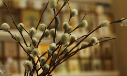 В Вербное воскресенье в Кирове пройдет детский крестный ход