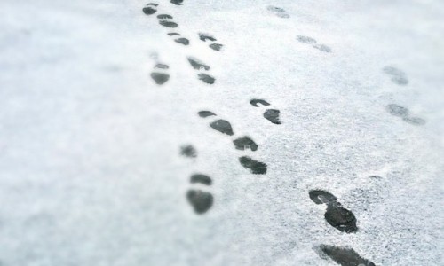 Утро понедельника в Кирове: апрельский снегопад и деньги из прошлого