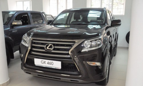 В лесу Кировской области нашли «Лексус»: появились версии, как авто оказалось в глуши