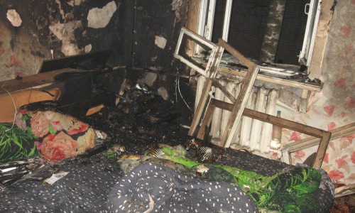 В Кирове из-за шалости котенка сгорела квартира