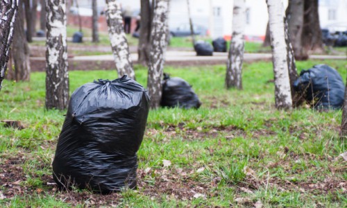 Чиновники предлагают кировчанам не жаловаться на грязь в городе, а выйти на субботник