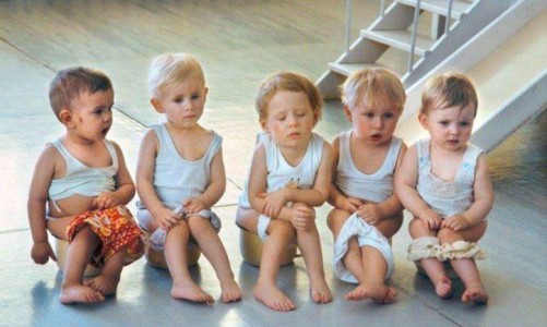 Горшок: когда, зачем и почему?