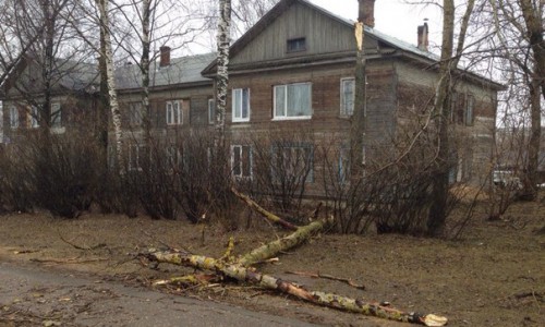Ураган в Кирове: сильный ветер снес деревья, заборы и даже штаны